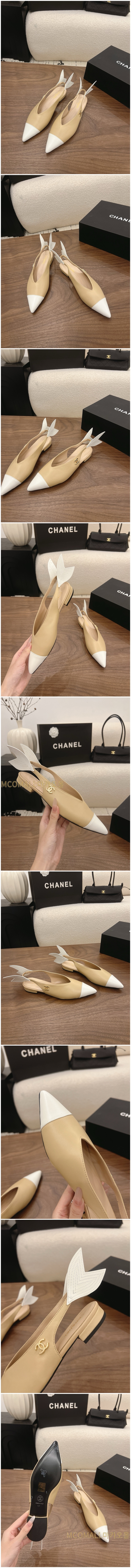 508.jpg